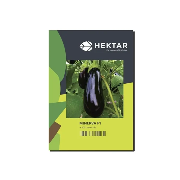 Seminte vinete MINERVA F1, Hektar, 100 seminte