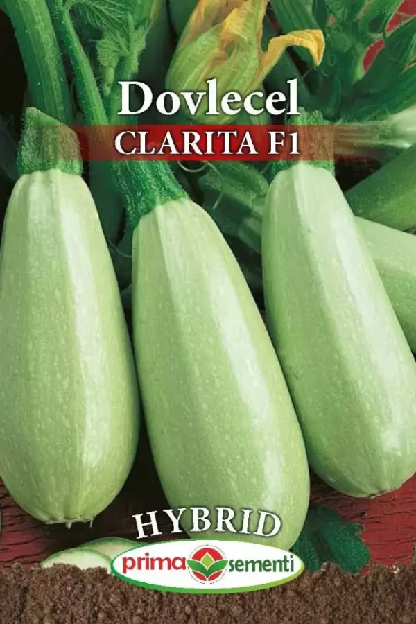 Seminte dovlecel CLARITA F1, Prima Sementi