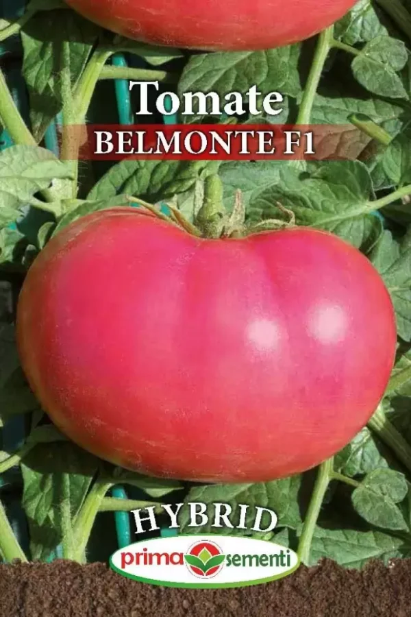 Seminte tomate BELMONTE F1, Prima Sementi