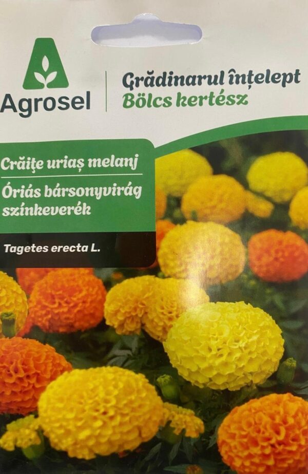 Seminte craite urias melanj, Agrosel
