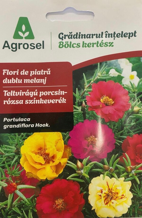 Seminte flori de piatra dublu melanj, Agrosel