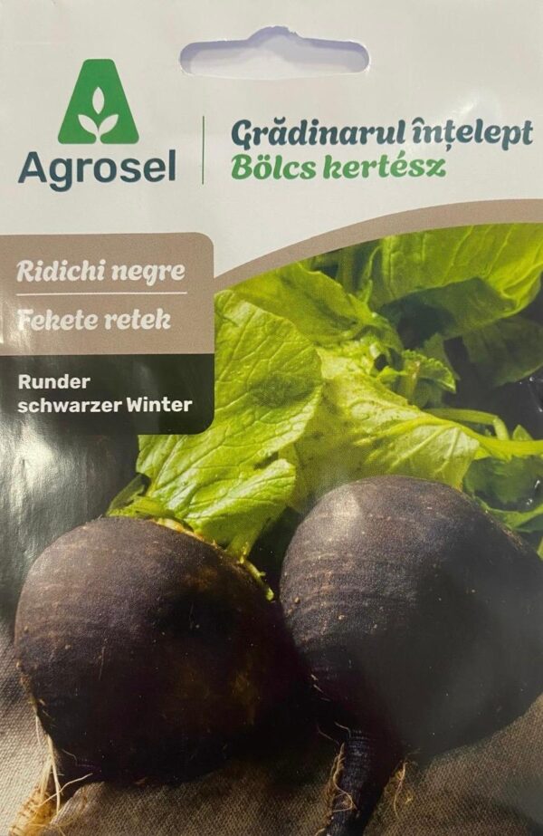 Seminte ridichi negre WINTER, Agrosel