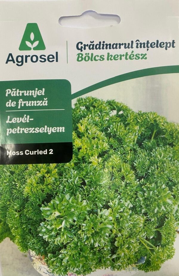 Seminte patrunjel de frunza MOSS CURLED, Agrosel