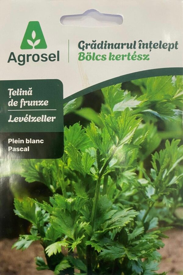 Seminte telina de frunze PASCAL, Agrosel