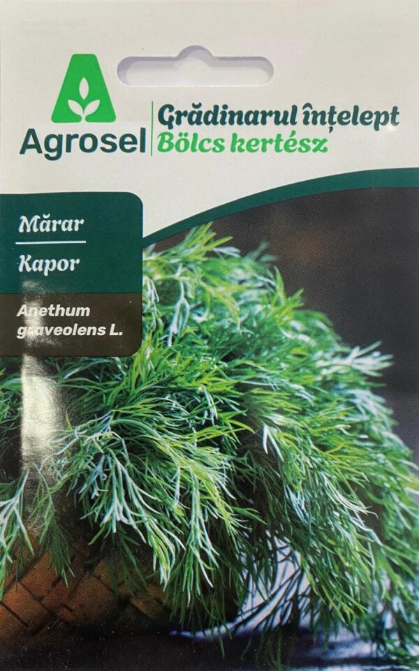 Seminte marar ANETHUM GUAVEOLENS, Agrosel