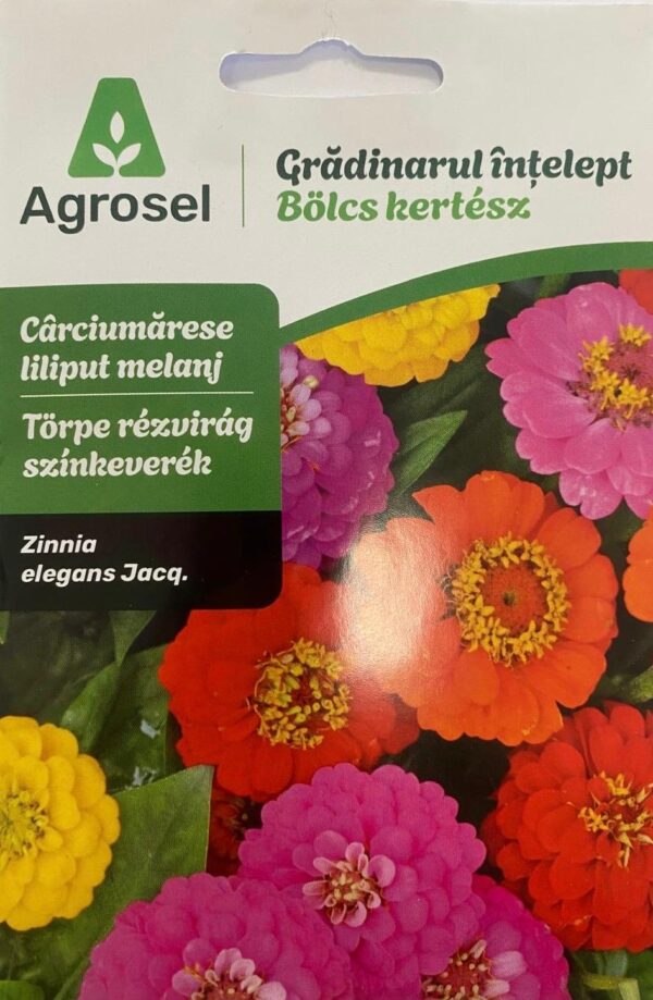 Seminte carciumarese liliput melanj, Agrosel