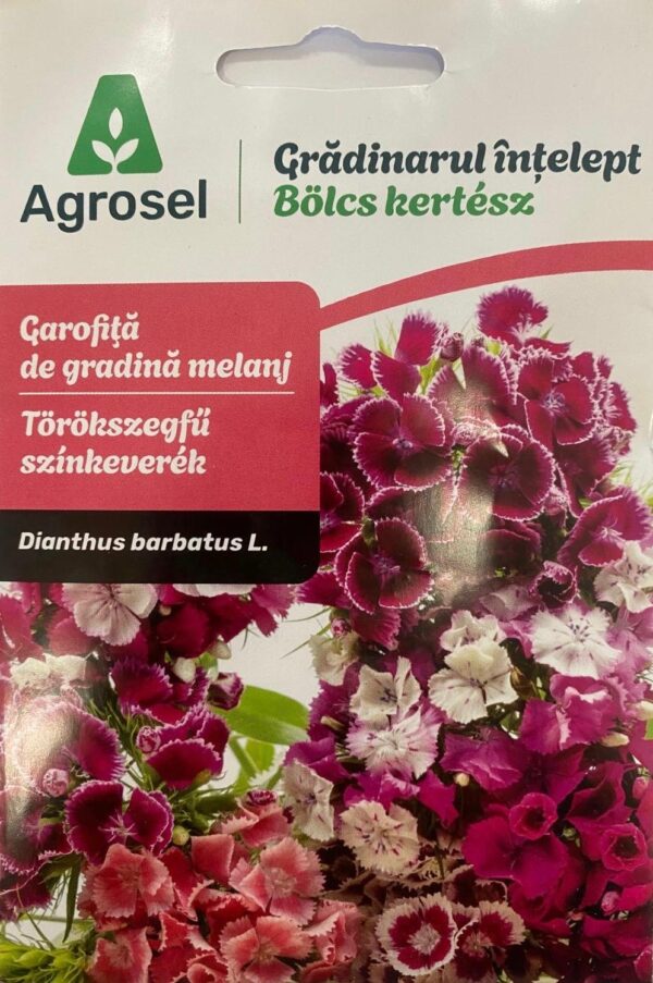 Seminte garofita de gradina melanj, Agrosel