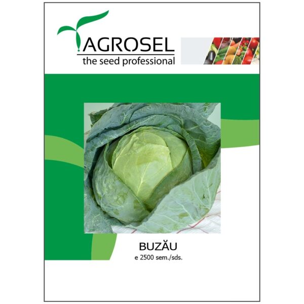 Seminte VARZA DE BUZAU, Agrosel, 2500 seminte