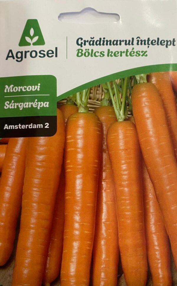 Seminte morcovi AMSTERDAM 2, Agrosel
