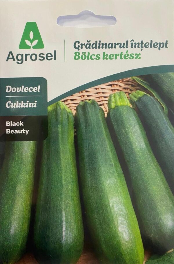 Seminte dovlecel BLACK BEAUTY, Agrosel