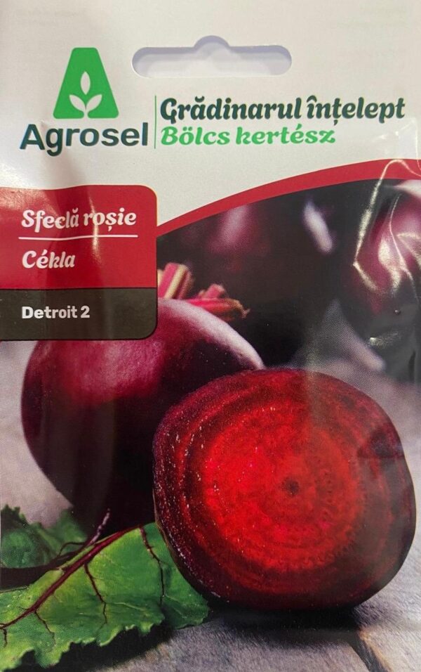 Seminte sfecla rosie DETROIT 2, Agrosel