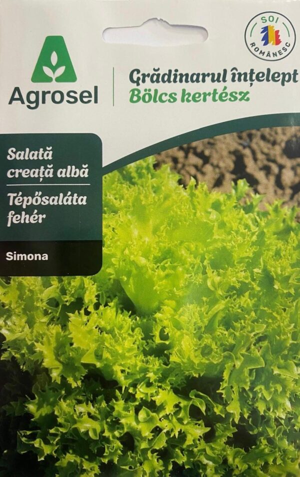 Seminte salata creata SIMONA, Agrosel