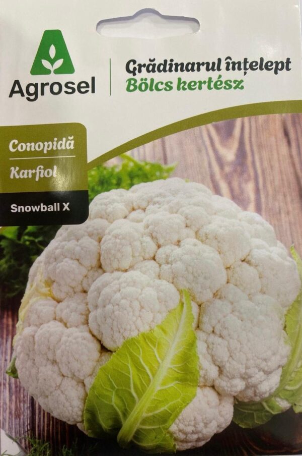 Seminte conopida SNOWBALL X, Agrosel