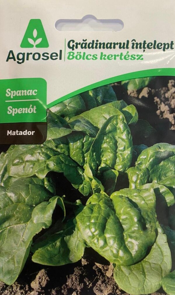Seminte spanac MATADOR, Agrosel
