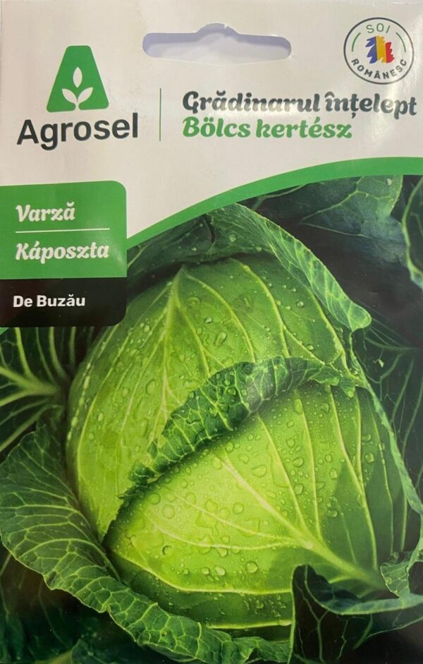 Seminte varza de BUZAU, Agrosel