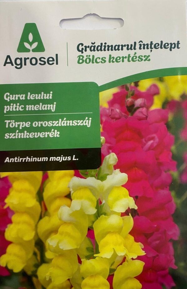 Seminte gura leului pitic melanj, Agrosel