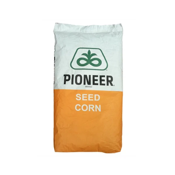Samanta porumb Pioneer P9074, FAO 300, LumiGEN, 25.000 boabe