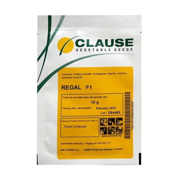 Seminte castraveti cornichon REGAL F1, 10 g